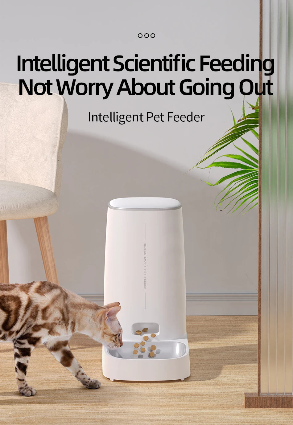 Distributeur de Croquettes Connecté Pawtique — WiFi & Programmable