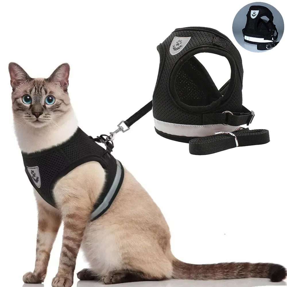 Harnais Anti-Fugue Pawtique — Confortable & Réfléchissant