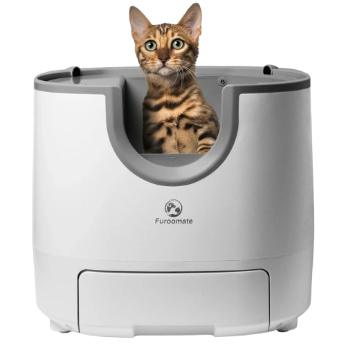 Litière Autonettoyante Pawtique — Dessus Ouvert, Spéciale Multi-Chats